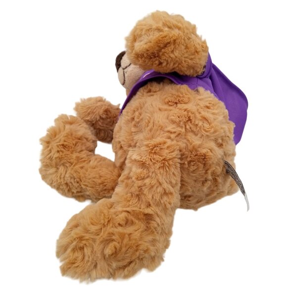 Hooded Teddy Bear Plushology Duke's Mount Vernon Texas Stuffed Animal 12" Plush - Picture 11 of 16